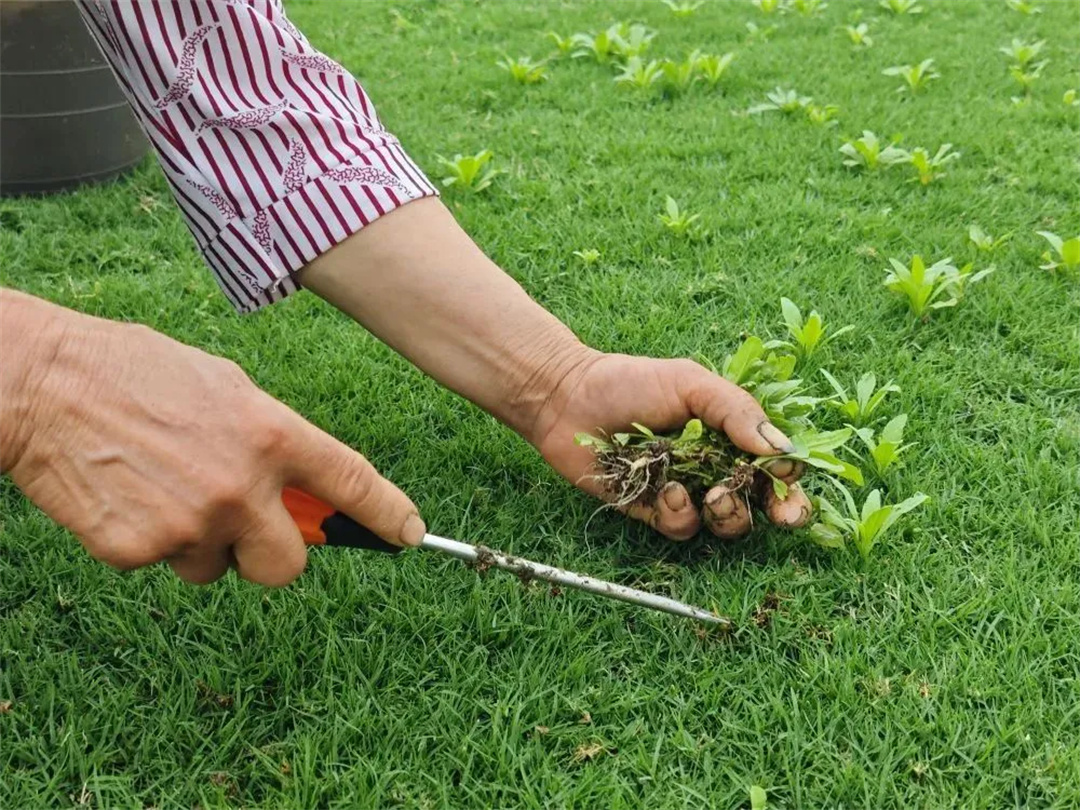 萬豪集團匠心助力，6月齊聚重慶龍興足球場為國足吶喊助威！